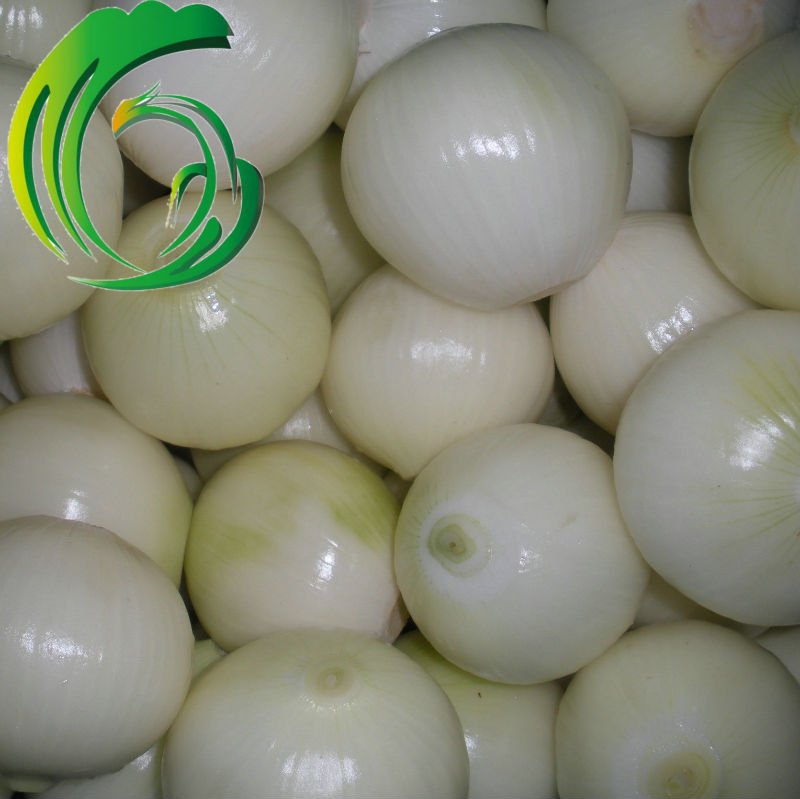 Chinese Yellow Onion size of 5 7-9cm & 9cm up