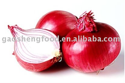 shandong red onion