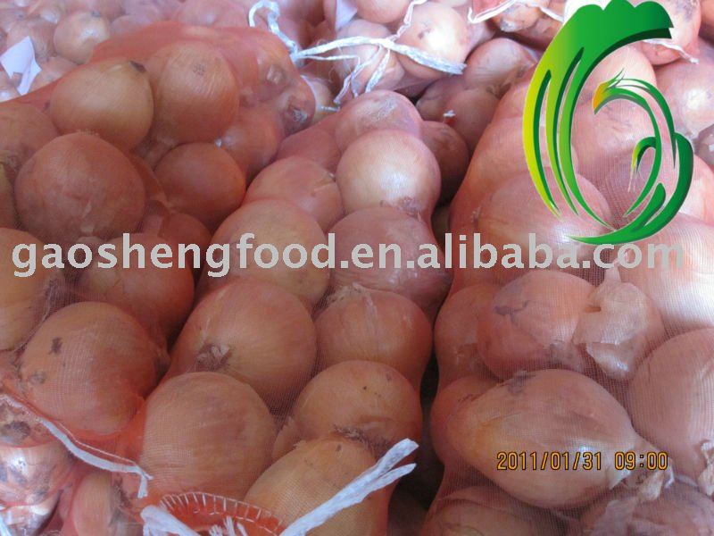 2010 newly yellow onion