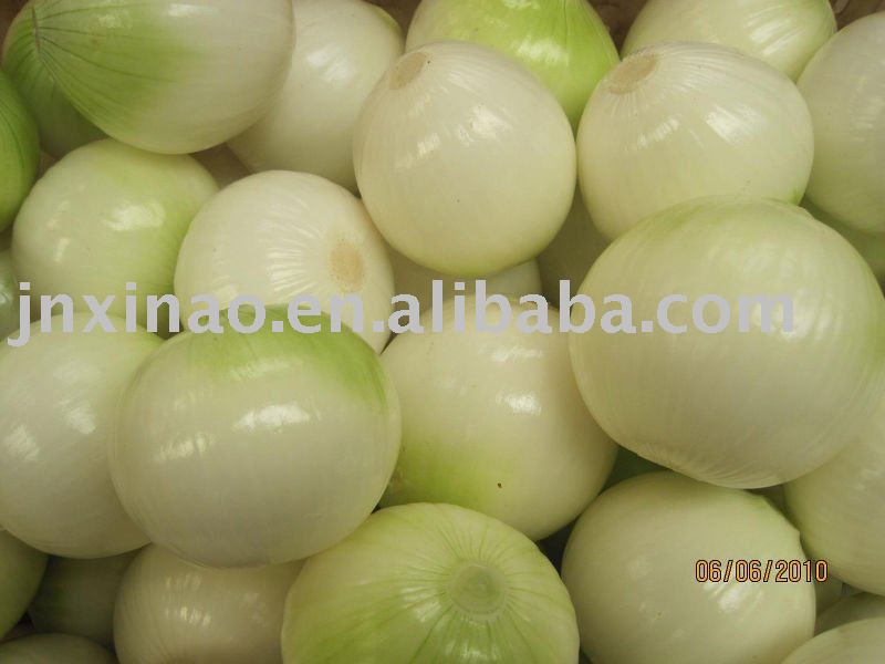 2010 Chinese green fresh onion