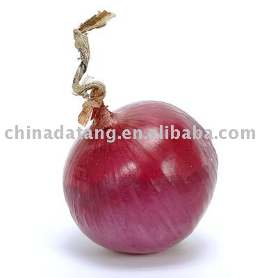 hot sale fresh red onion