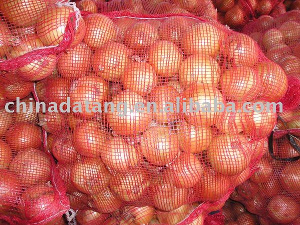 red onion with high quality and reasonable price