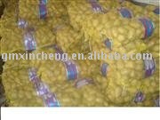 Holland Potato  seeds