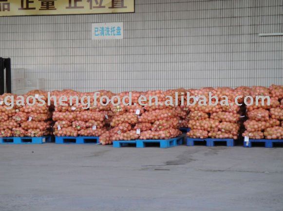 fresh non-peeled yellow onion