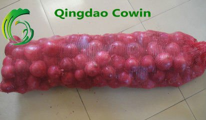 Fresh Chinese red Onion 4-10cm & 8cm up suit for exporting