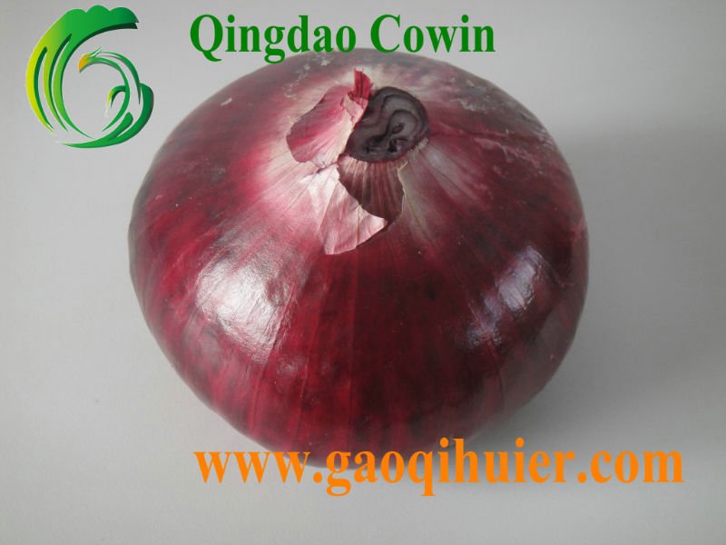 Fresh Chinese Red Onion 4-10cm suit for exporting