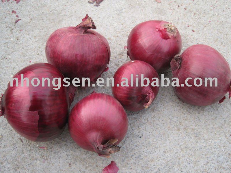 onion