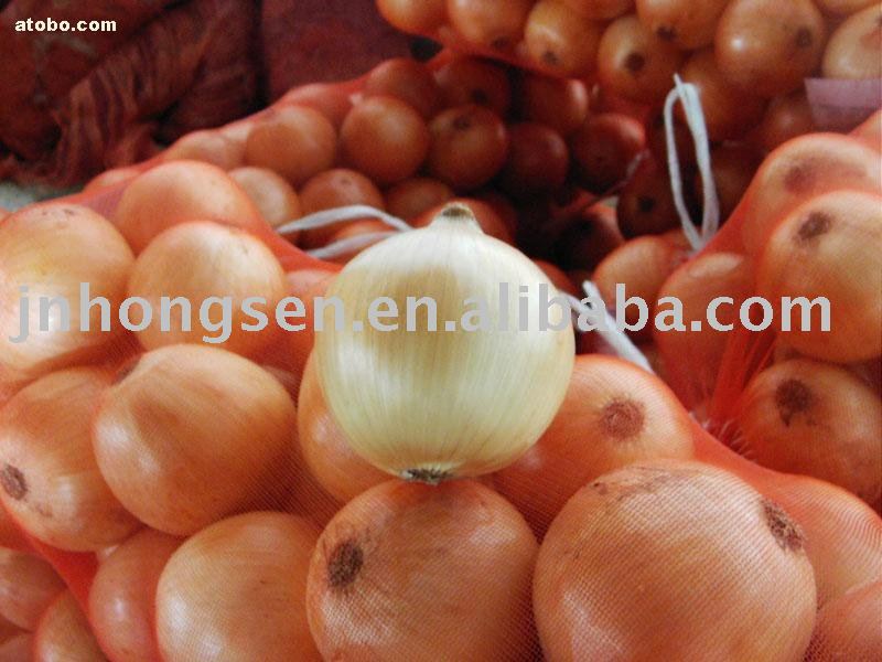 yellow onion