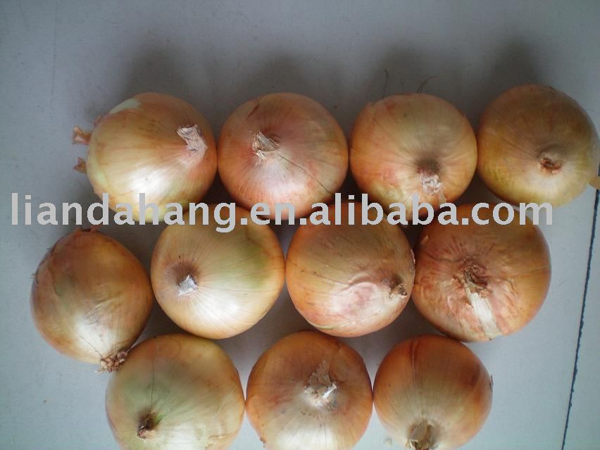 Farm Produce, White onion