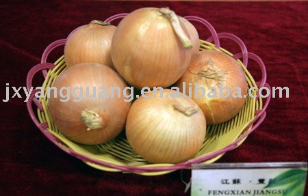 jinxiang fresh red onion(2010 new crop)
