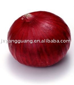 jinxiang fresh red onion (2010 new crop)