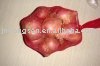 fresh red shallot