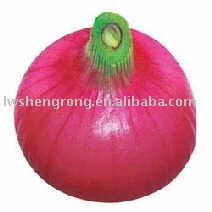 Shandong Onion,china onion