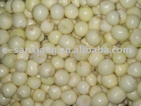 Fresh white onion