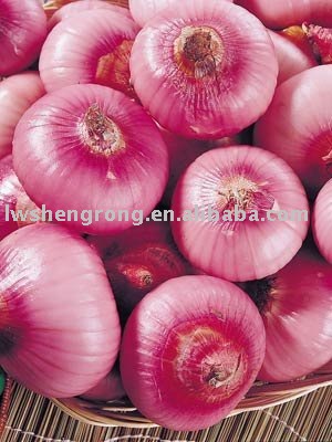 Shandong Red Onion,onion