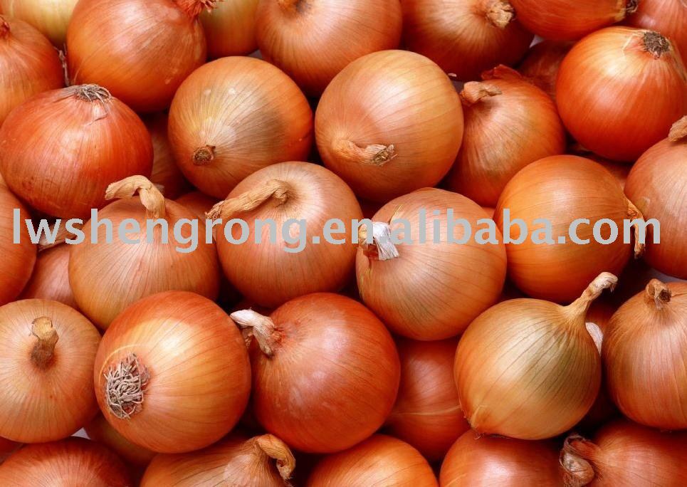 yellow  onion ,fresh  onion , shandong   onion 