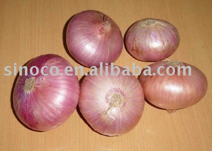 new crop red onion