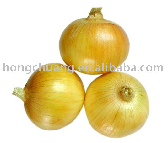 Fresh Onion for 2011