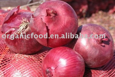  chinese   fresh   red   onion 