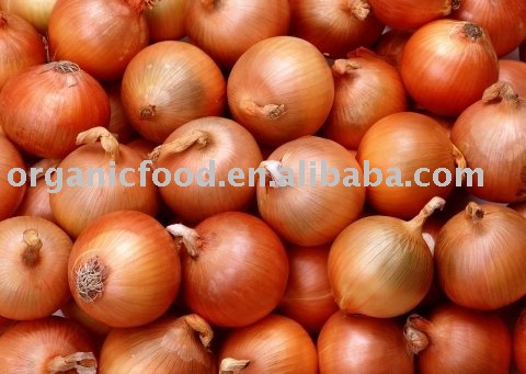 5-7cm red onion