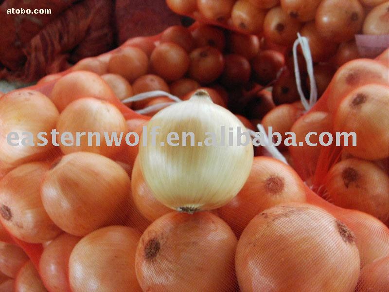 New Crop Fresh Red Onion