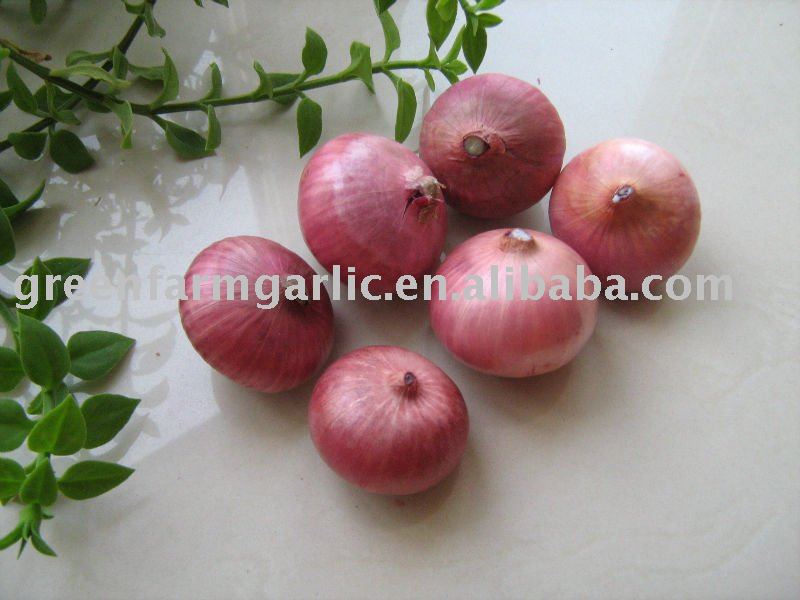 Sell 3-5cm,5-7cm,7-9cm Chinese Fresh New Fresh Red Onion