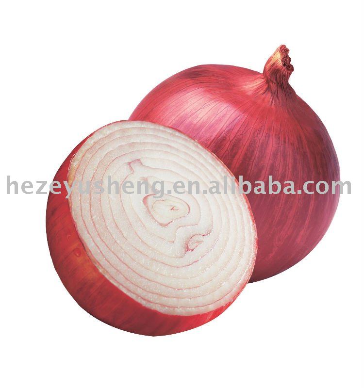 2011 red onion