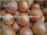 Chinese Fresh Yellow Onion in Mesh Bag Package