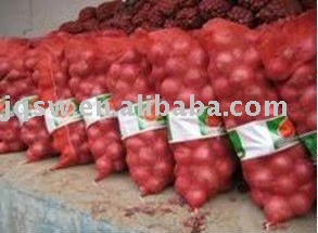 fresh red onion