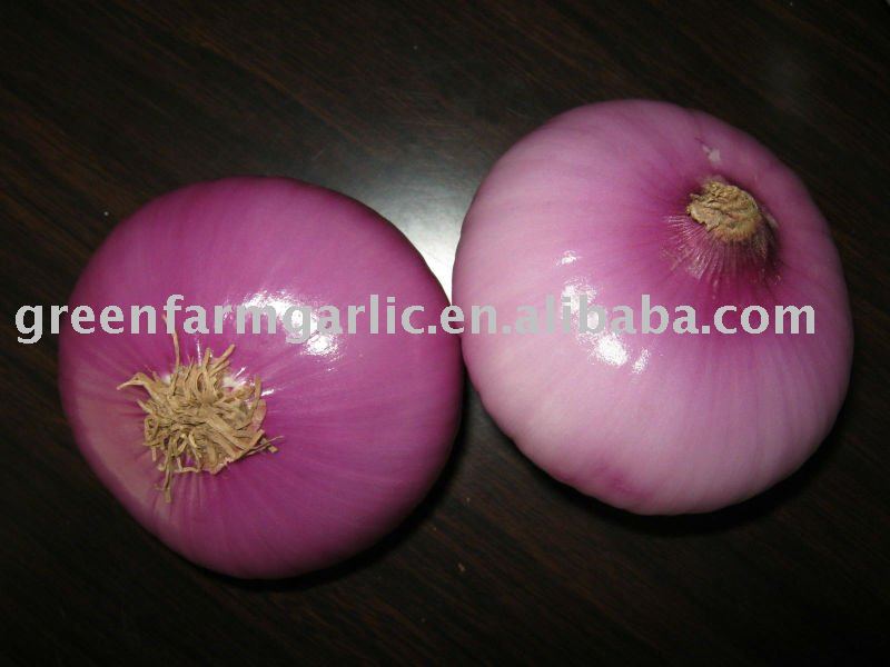 2011 New Red Onion