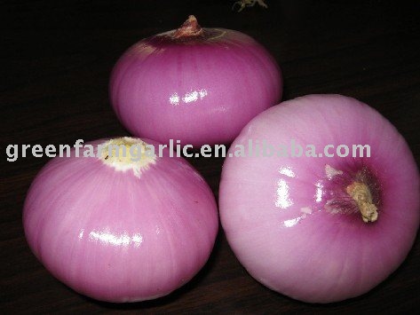 Chinese 2011 New Fresh Red Onion in 3-5cm,5-7cm,6-8cm in 10kg Mesh Bag