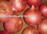 fresh yellow and red onions