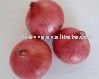 RED onions,fresh Chinese red onion,Gansu origin