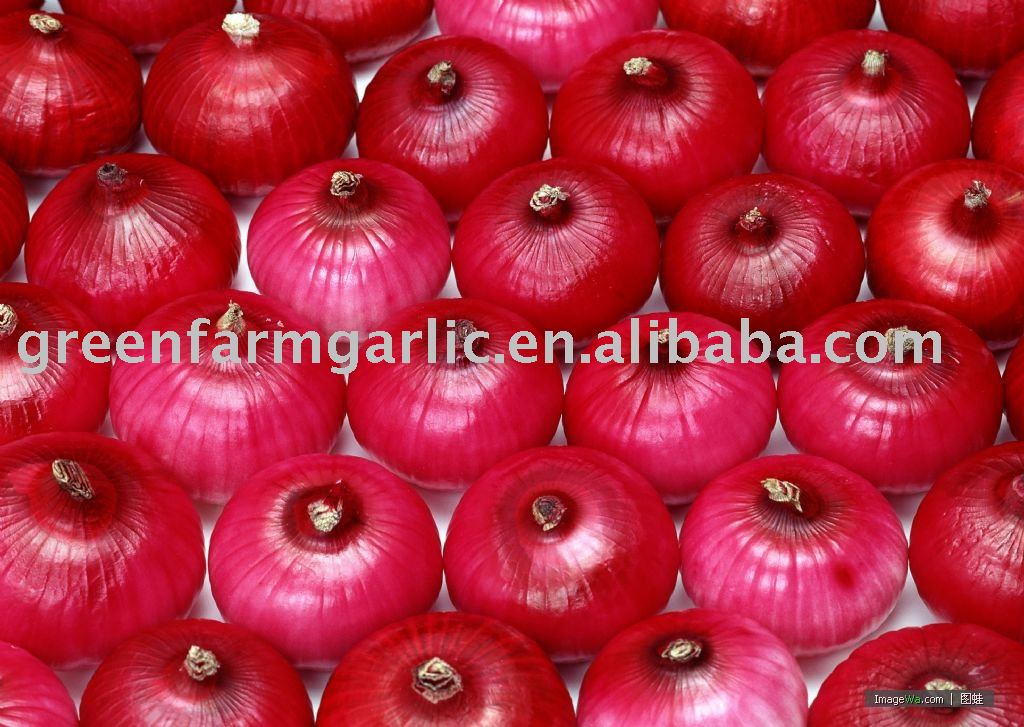 Chinese 2011 New Fresh Red Onion in 5-7cm,6-8cm in Mesh Bags