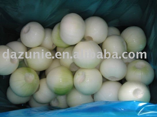  Peeled   Yellow   Onion 