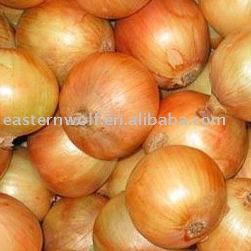 Chinese Fresh Yellow Onion 10kg mesh bag packing