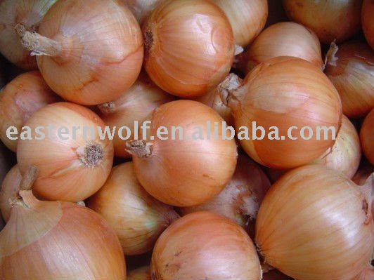 Chinese Fresh Yellow Onion mesh bag packing