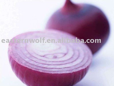 Red onion in 10kg mesh bag package.MOQ:1X40FCL