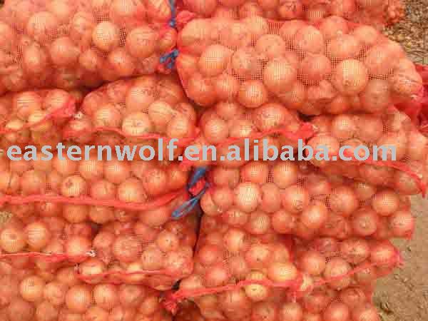 China onion in 10kg mesh bag package.MOQ:1X40FCL