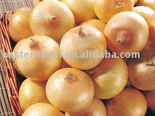 Fresh yellow onion in 10kg mesh bag package.MOQ:1X40FCL