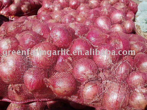 Chinese 2011 New Fresh Red Onion in High Quality and Inexpensive