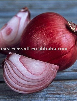 Small red onion in 10kg mesh bag package.MOQ:1X40FCL