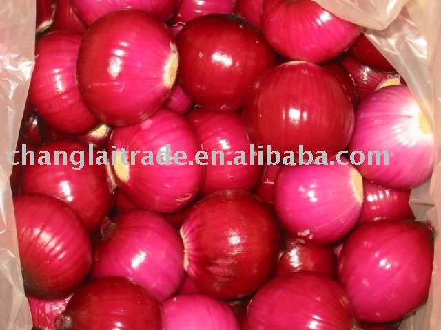 Fresh Big Red Onion