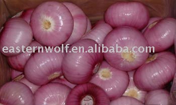 Chinese Fresh Red Onion in Mesh Bag Package