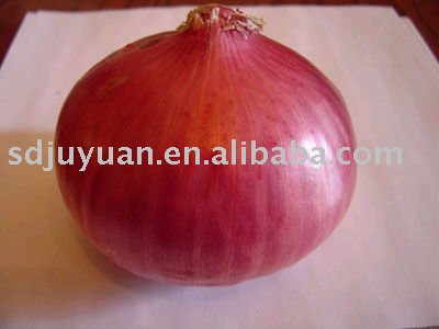  New   fresh   red   onion 