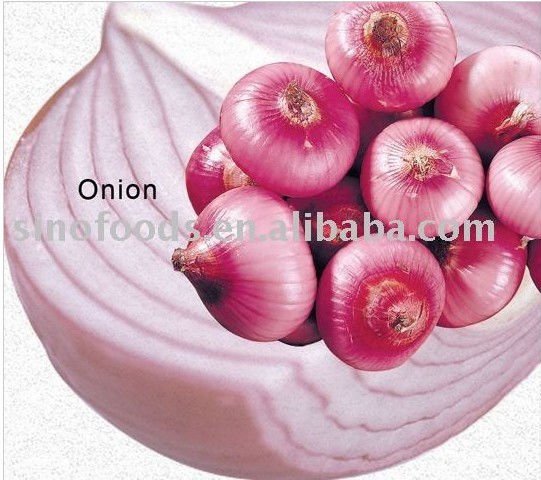 spicy  onion