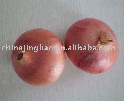 Hot Sale - Chinese Fresh Yellow and Red Onion (All Size)