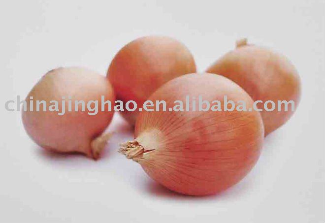 Hot Sales 2010 Chinese Fresh Yellow and Red Onion