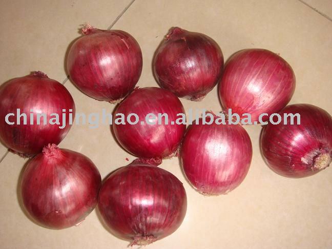 Hot Sales Chinese Fresh Yellow and Red Onion (All Size)