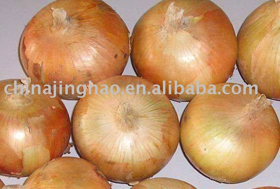Hot Sale 2010 Chinese Fresh Yellow and Red Onion